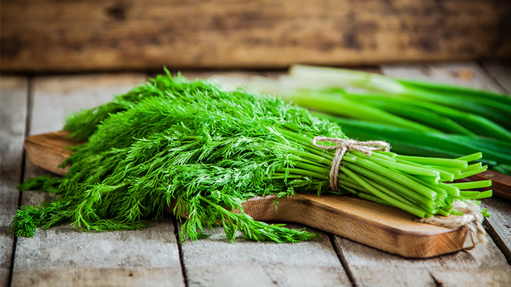 Dereotu Ekim Takvimi