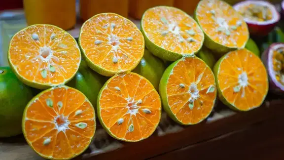 portakal çekirdeği