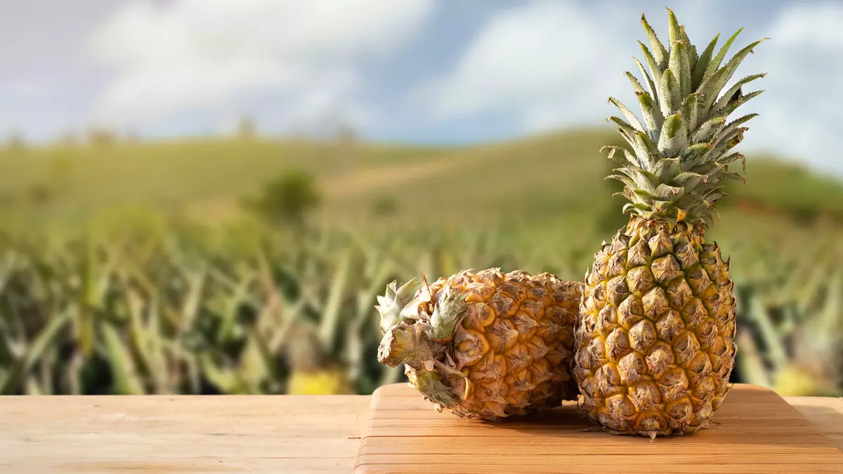 Ananas tohumu