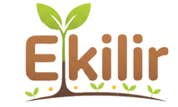 Ekilir.Com