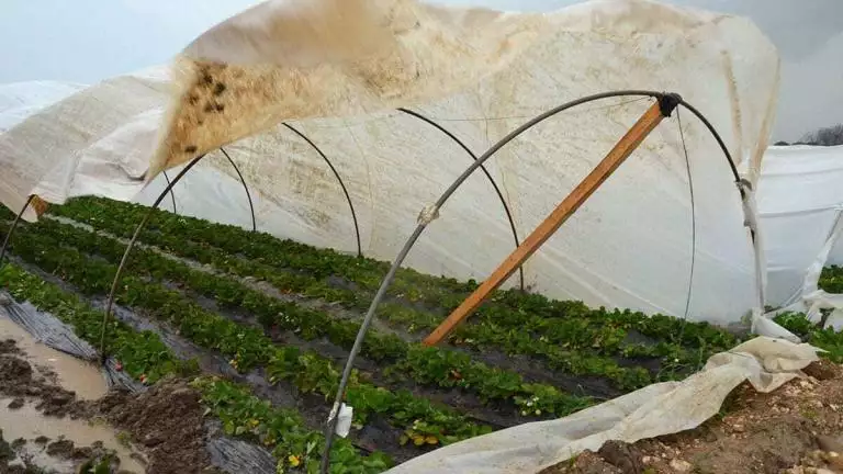 adana ve mersin sel felaketi