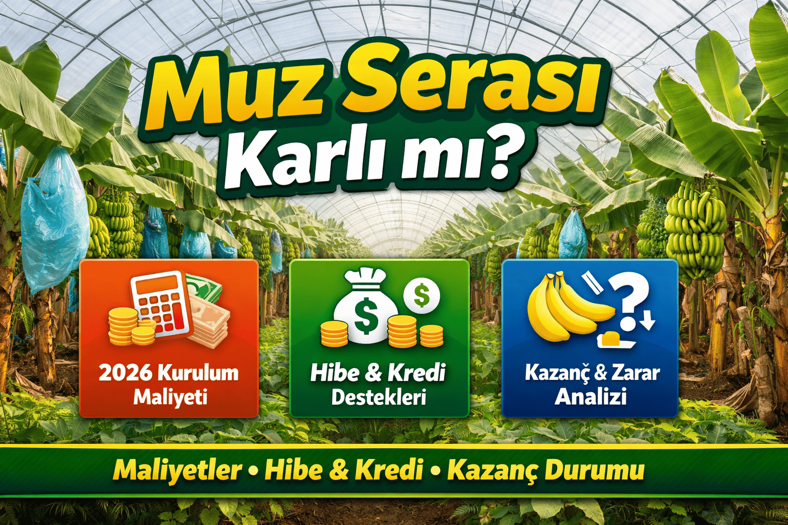 Muz Serası Karlı mı Kurulum Maliyeti 2026